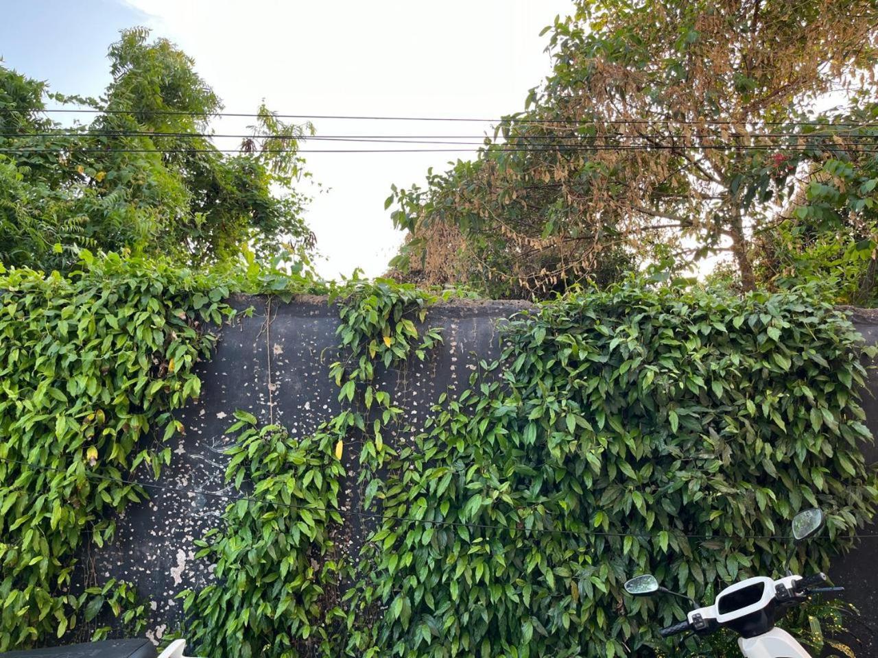 פורי Nirman Homestay 5 Minutes Walk To Beach מראה חיצוני תמונה