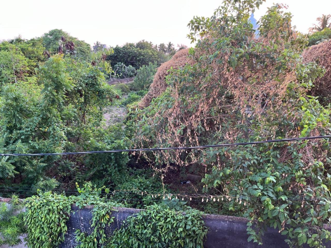 פורי Nirman Homestay 5 Minutes Walk To Beach מראה חיצוני תמונה